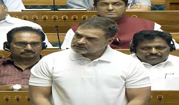 Rahul calls for action plan to address calamities