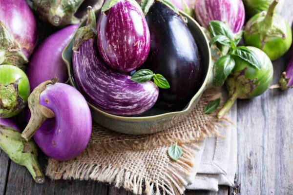 Haakh to Brinjal: Prolonged Dry Weather Hits Vegetable Production in Kashmir