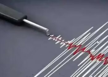 Expert Flags Earthquake Risk, Says Most Srinagar Homes Not Resilient
