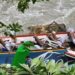 14 People Killed As Indian-Registered Bus Plunges Into River In Nepal
