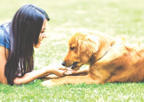 The Role of Pets in Enhancing the Mental Health of Working Professionals