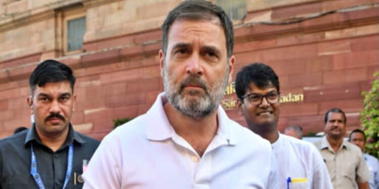 Will Be Your Voice In Parliament: Rahul Gandhi To People Of J&K
