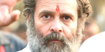 Rahul Gandhi Likely To Campaign In Jammu And Kashmir On September 4