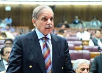 Cabinet cleared Pakistan’s entry into Gaza ‘Board of Peace’, says PM Shehbaz Sharif
