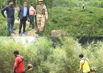 Bhung Destruction drive held at Aglar, Zainapora