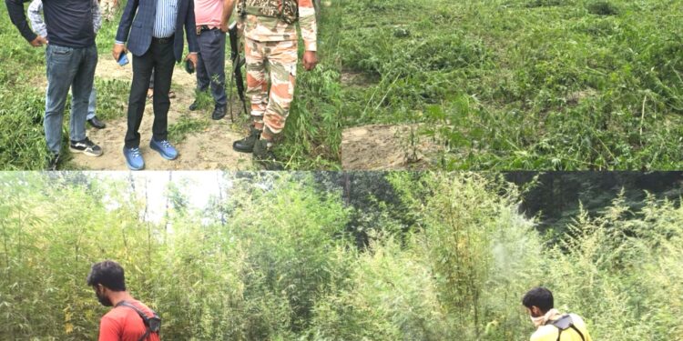 Bhung Destruction drive held at Aglar, Zainapora