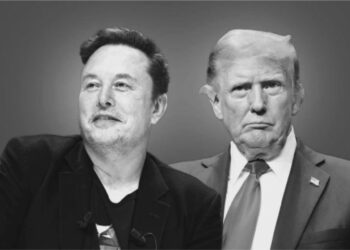 'I'm Willing To Serve': Elon Musk Accepts Donald Trump's Big Cabinet Role Offer