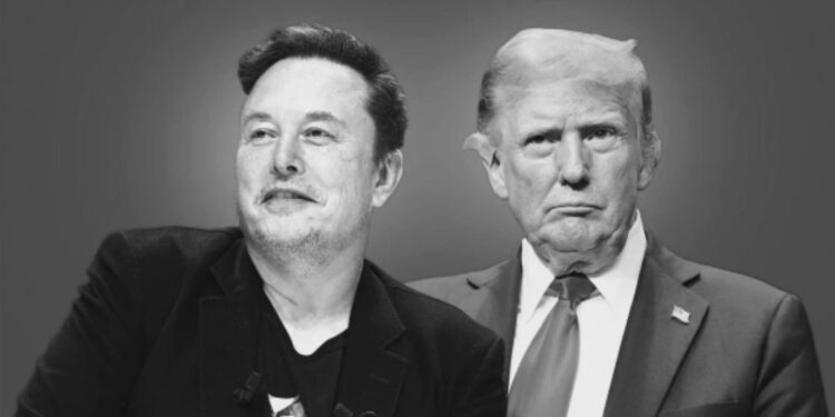 'I'm Willing To Serve': Elon Musk Accepts Donald Trump's Big Cabinet Role Offer