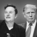 'I'm Willing To Serve': Elon Musk Accepts Donald Trump's Big Cabinet Role Offer