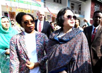 Diplomats from Delhi-based 16 foreign embassies witness voting process in Kashmir