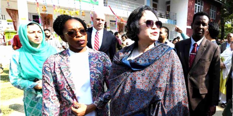 Diplomats from Delhi-based 16 foreign embassies witness voting process in Kashmir