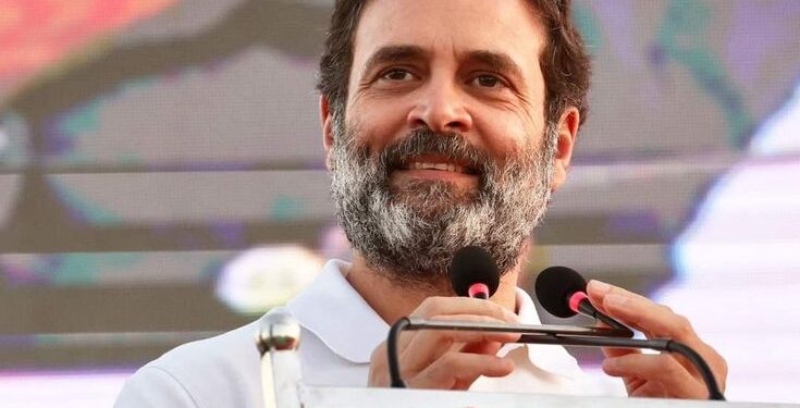 BJP Proposing Elimination Of Indian Constitution: Rahul Gandhi In Berlin