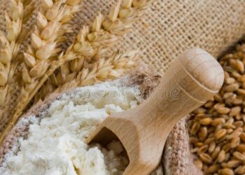 Centre Approves Additional Wheat Allocation Under PMGKAY, Distribution To Start In October
