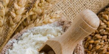 Centre Approves Additional Wheat Allocation Under PMGKAY, Distribution To Start In October