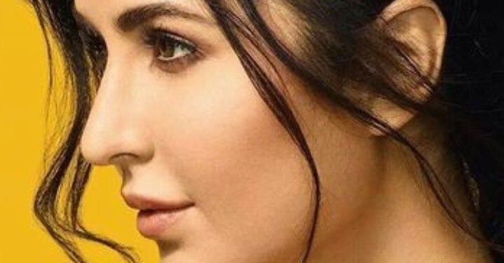 Katrina Kaif says Ishaan Khatter is 'too good' in Nicole Kidman's The Perfect Couple
