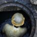 92% Sewage, Septic Tank Cleaners Are From SC, ST, OBC Groups: Govt Data