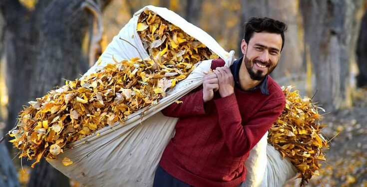 Night Cold Intensifies In Kashmir With Pahalgam Coldest At -3.6°C