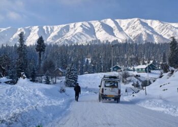 Kashmir Receives Fresh Snow, Wet Spell Predicted Ahead