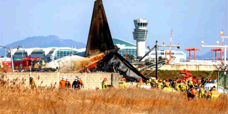 179 dead, 2 rescued after plane crashes while landing in South Korea
