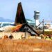 179 dead, 2 rescued after plane crashes while landing in South Korea