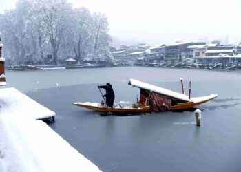 Kashmir Continues To Reel Under Cold Conditions, Light Snowfall Expected Over Weekend