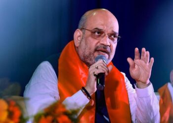 Zero Tolerance Against Criminals Operating From Foreign Lands, Says Amit Shah