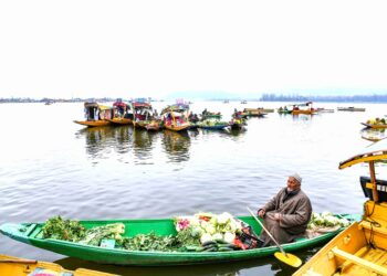 ‘Soan Meeras’: Dal Lake comes alive with vibrant Shikara rally