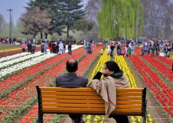 Tulip garden likely to open by March 15, weather key: Officials