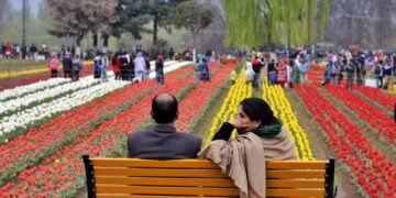 Tulip garden likely to open by March 15, weather key: Officials