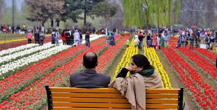 Tulip garden likely to open by March 15, weather key: Officials