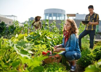 Urban Farming: Revolutionizing Food Production In Small Spaces