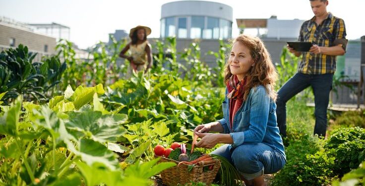 Urban Farming: Revolutionizing Food Production In Small Spaces