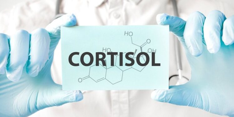 High And Unmanaged Cortisol Can Increase The Risk Of Glaucoma