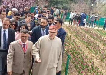 Asia's largest Tulip Garden opens to public in Srinagar