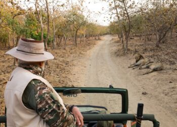 PM Modi Interacts With Gir Forest Staff; Takes Lion Safari On World Wildlife Day