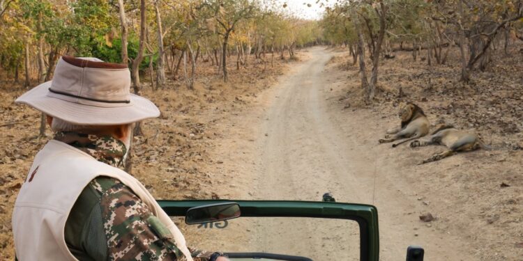 PM Modi Interacts With Gir Forest Staff; Takes Lion Safari On World Wildlife Day