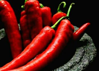 7 Food Items You Must Include In Your Diet For Healthy Kidneys