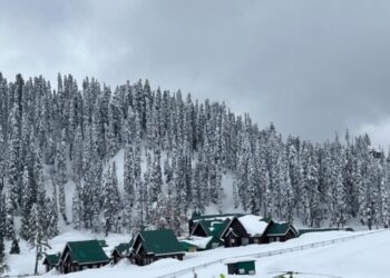 No Snowfall Forecast for Plains till 02 February: Light snow/rain is expected on tomorrow at some parts of J&K