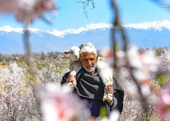 Poor cellular network irks tourists, locals at Badam Vaer