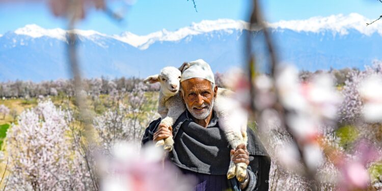 Poor cellular network irks tourists, locals at Badam Vaer