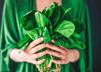 Managing Uric Acid Naturally With 5 Ayurvedic Herbal Teas