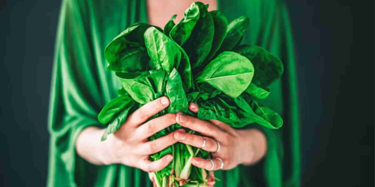 Managing Uric Acid Naturally With 5 Ayurvedic Herbal Teas