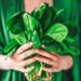 Managing Uric Acid Naturally With 5 Ayurvedic Herbal Teas