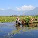 Alarming: J&K loses 57% wetlands in a decade