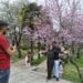 Poor cellular network irks tourists, locals at Badam Vaer