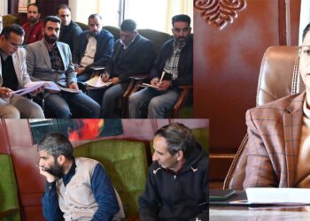 DC Shopian Chairs District Environmental Plan Committee Meeting