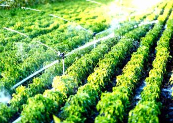 Major ₹1,600 Cr Push for Agri Water Efficiency Under PM Krishi Sinchayee Yojana