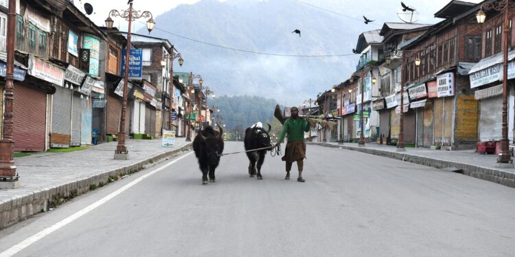 Pahalgam Terror Attack: Complete Shutdown Observed In Parts Of Jammu