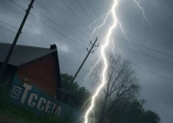 Two Killed, One Injured, 40 Sheep Dead as Lightning Strikes in Reasi