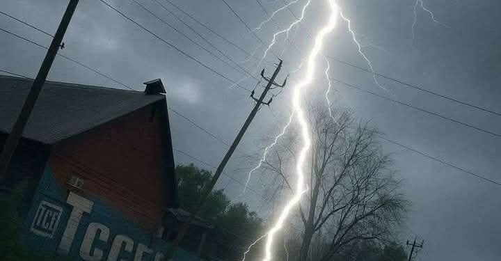 Two Killed, One Injured, 40 Sheep Dead as Lightning Strikes in Reasi